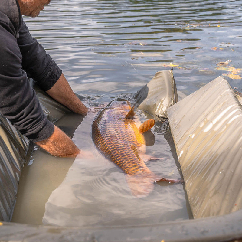 Avid Carp Pro-Tect Deluxe Cradle